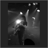 belfast 14