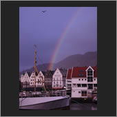 bergen 11