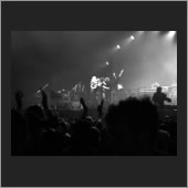 bospop 20