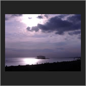 brighton 01