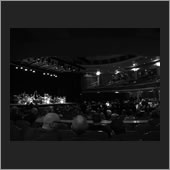 brighton 07