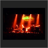 brussels 05