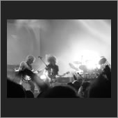 brussels 11