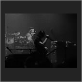 brussels 13