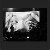 dublin 15