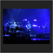 lille 11