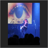 lucerne 13