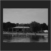 psyfi 20