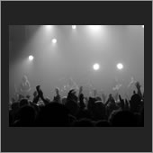 rockhal 15