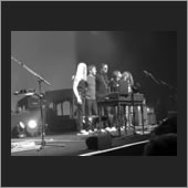 vienna 11